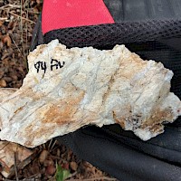 Motagua Norte- sericite schist with stock-work veining 94 g/t Au