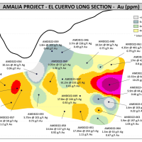 Figure 25. El Cuervo Au PP Long Section