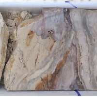 Figure 3. 20cm core at TDD-001 29m: Multi-phase chalcedonic quartz banded veining with dark fine grained sulphides.