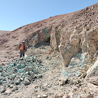 Figure 2. High grade copper oxide mineralization hosted in intensely altered intrusive exposed in bulldozer cut: